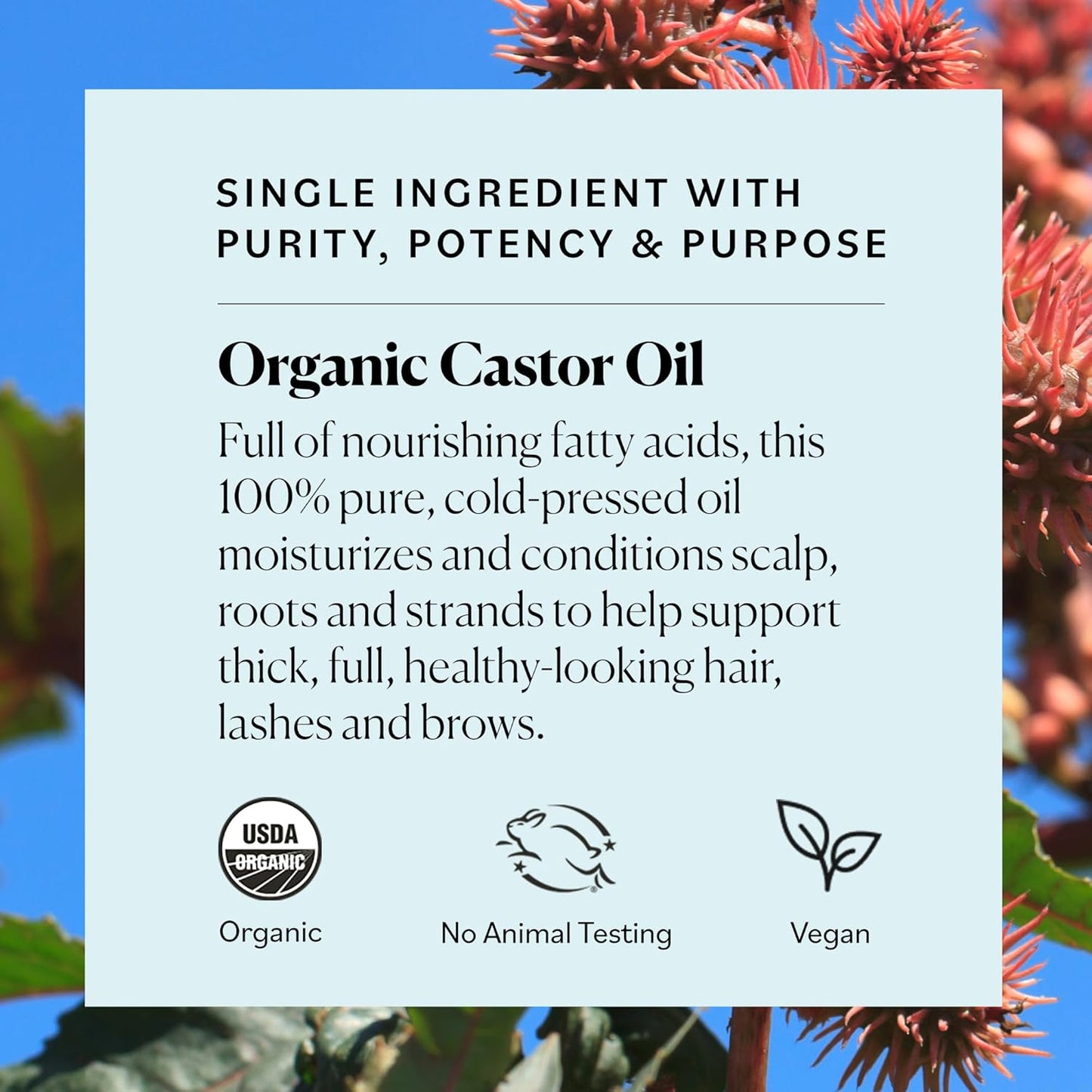 Sky Organics Organic Castor Oil, 100% Pure, Hexane Free, Cold-Pressed to Support Stronger, Fuller-Looking Hair, Eyelashes & Eyebrows,Good for Castor Packs, Navel Oiling, Carrier Oil Use, 16 fl oz