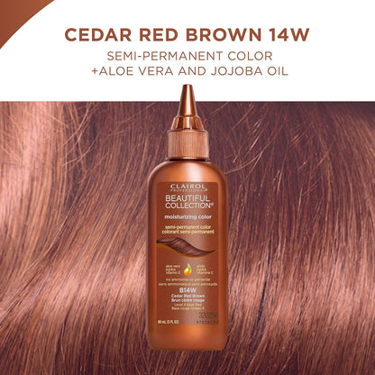 Clairol Professional Beautiful Advanced Gray Solutions, Semi-Permanent Hair Color for Gray Coverage